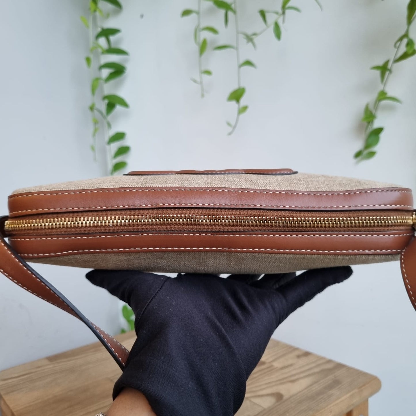 Celine Triomphe Camera Bag Canvas Leather 2022 Size 26x4x14