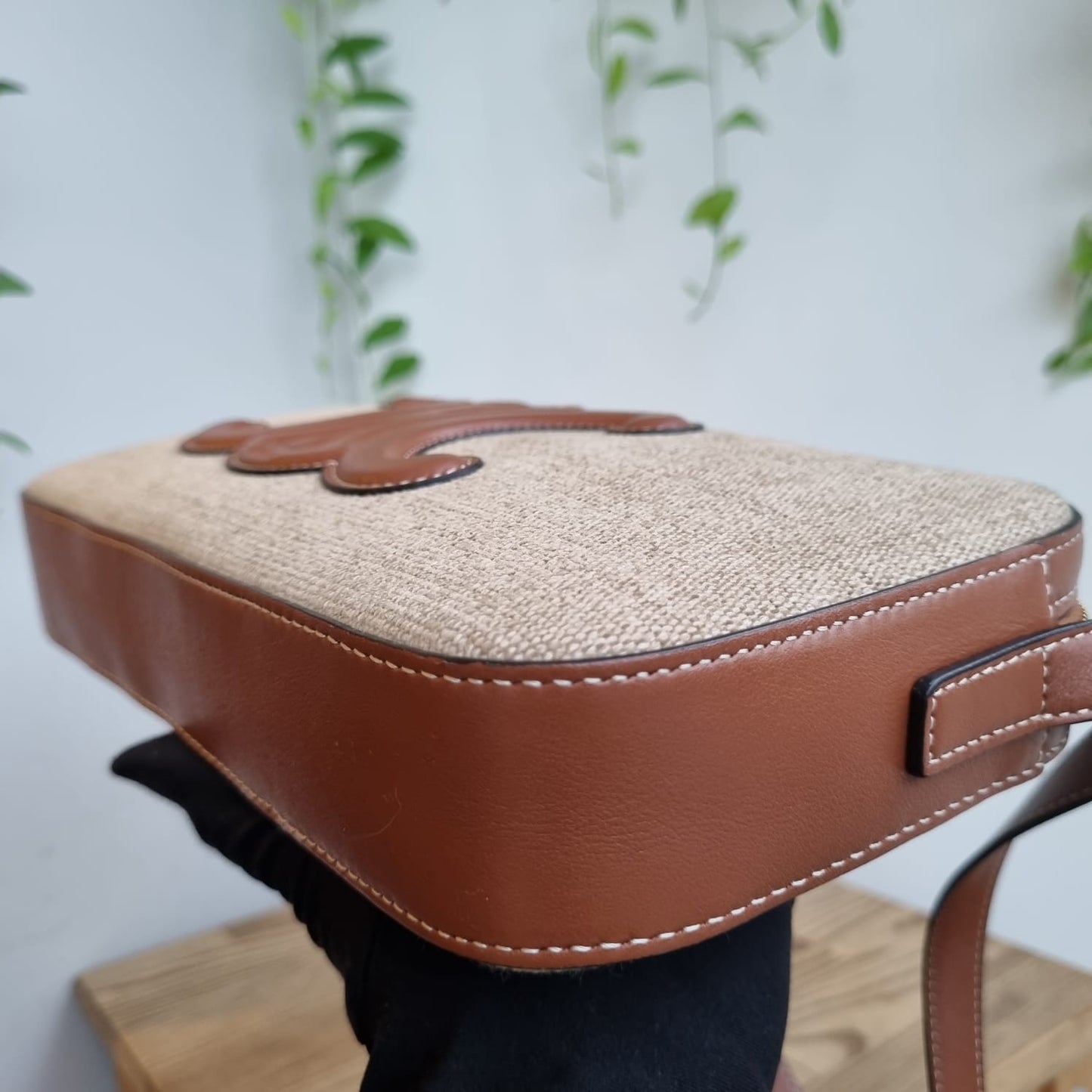 Celine Triomphe Camera Bag Canvas Leather 2022 Size 26x4x14