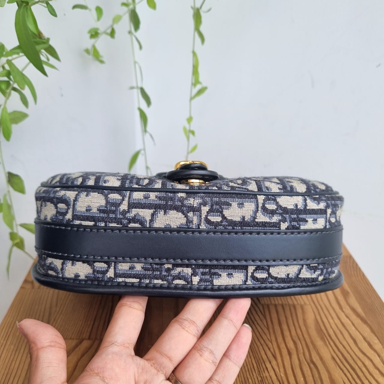 Dior Bobby Medium Oblique Canvas 2020 Size 22x6x18