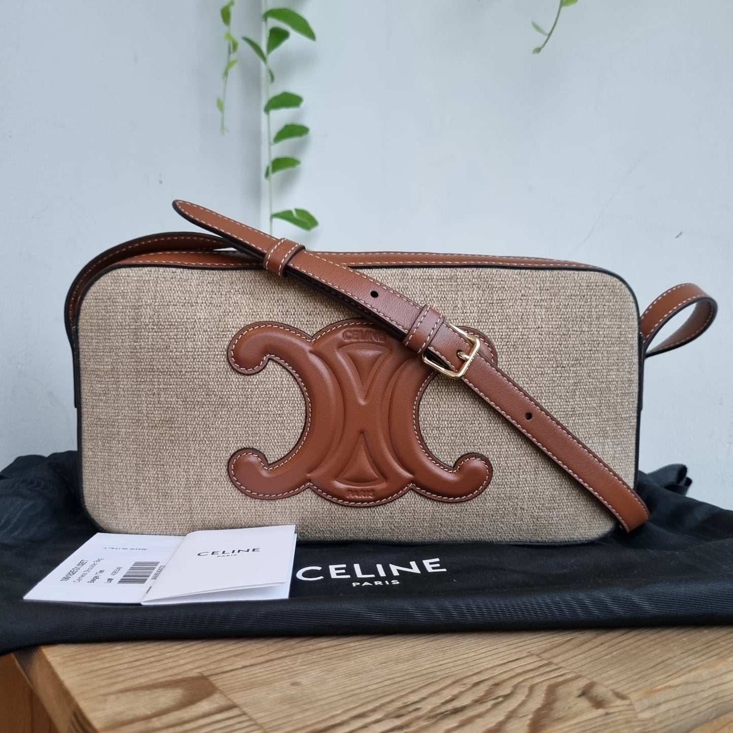 Celine Triomphe Camera Bag Canvas Leather 2022 Size 26x4x14