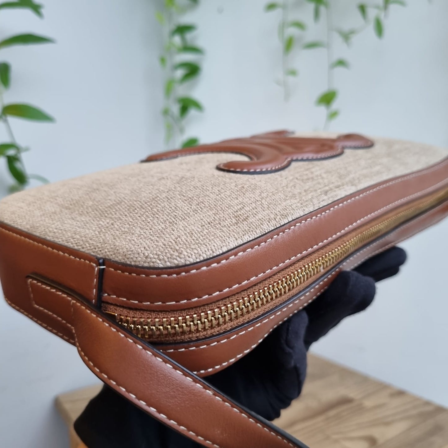 Celine Triomphe Camera Bag Canvas Leather 2022 Size 26x4x14
