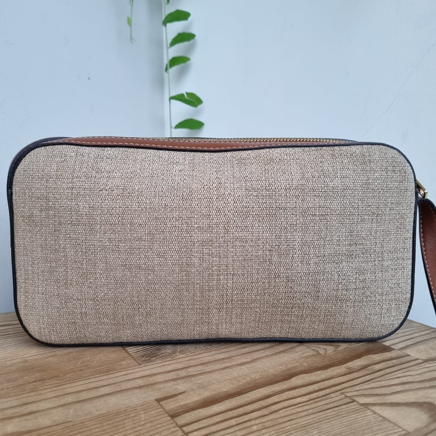 Celine Triomphe Camera Bag Canvas Leather 2022 Size 26x4x14