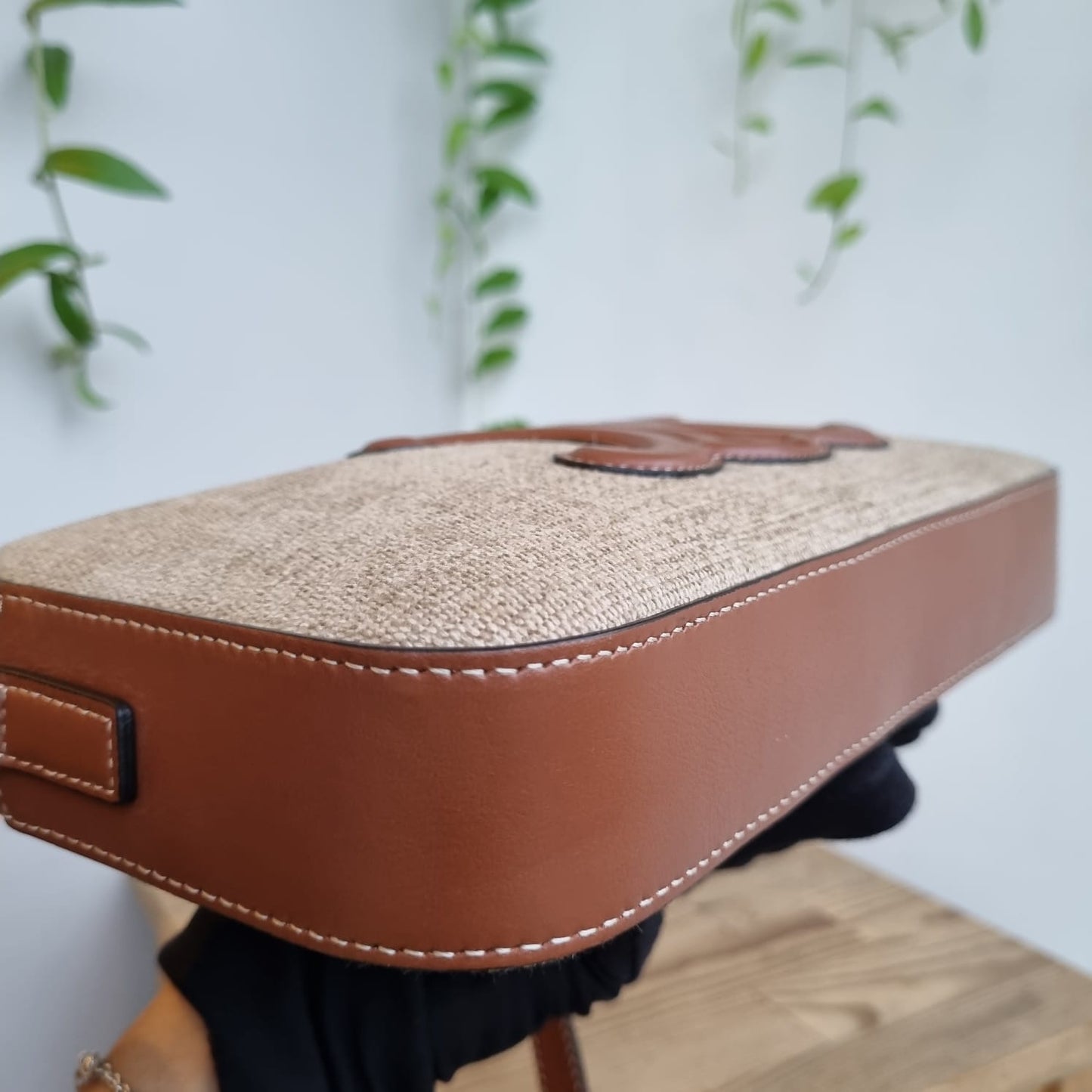 Celine Triomphe Camera Bag Canvas Leather 2022 Size 26x4x14