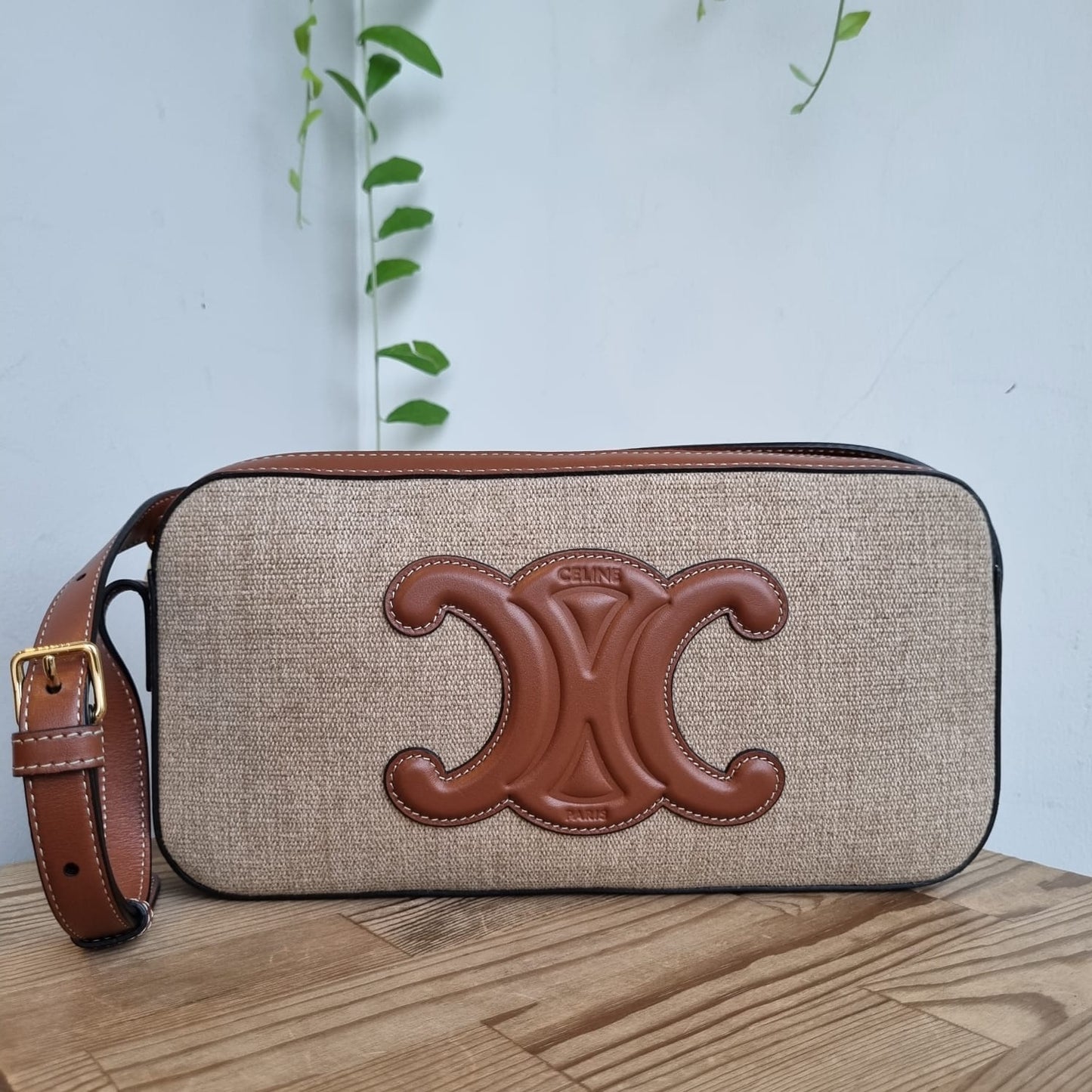 Celine Triomphe Camera Bag Canvas Leather 2022 Size 26x4x14