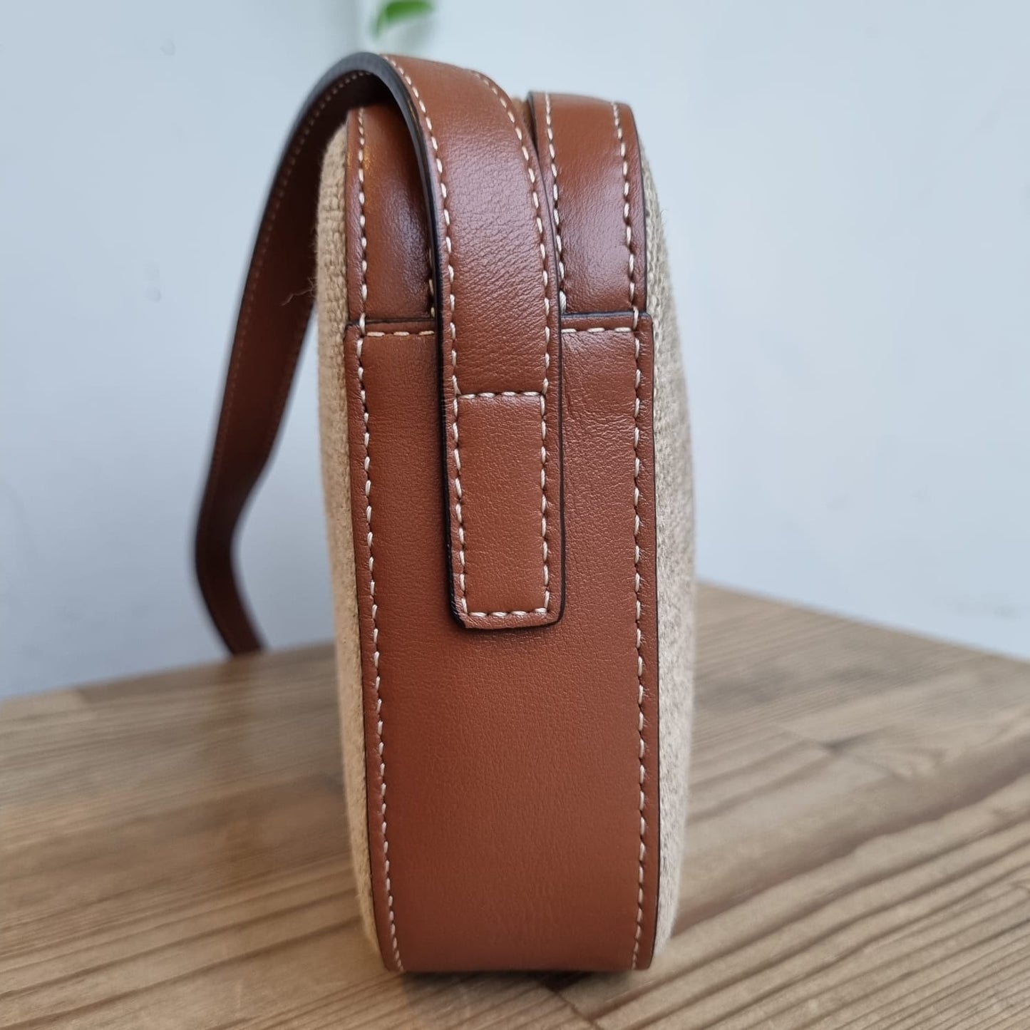 Celine Triomphe Camera Bag Canvas Leather 2022 Size 26x4x14