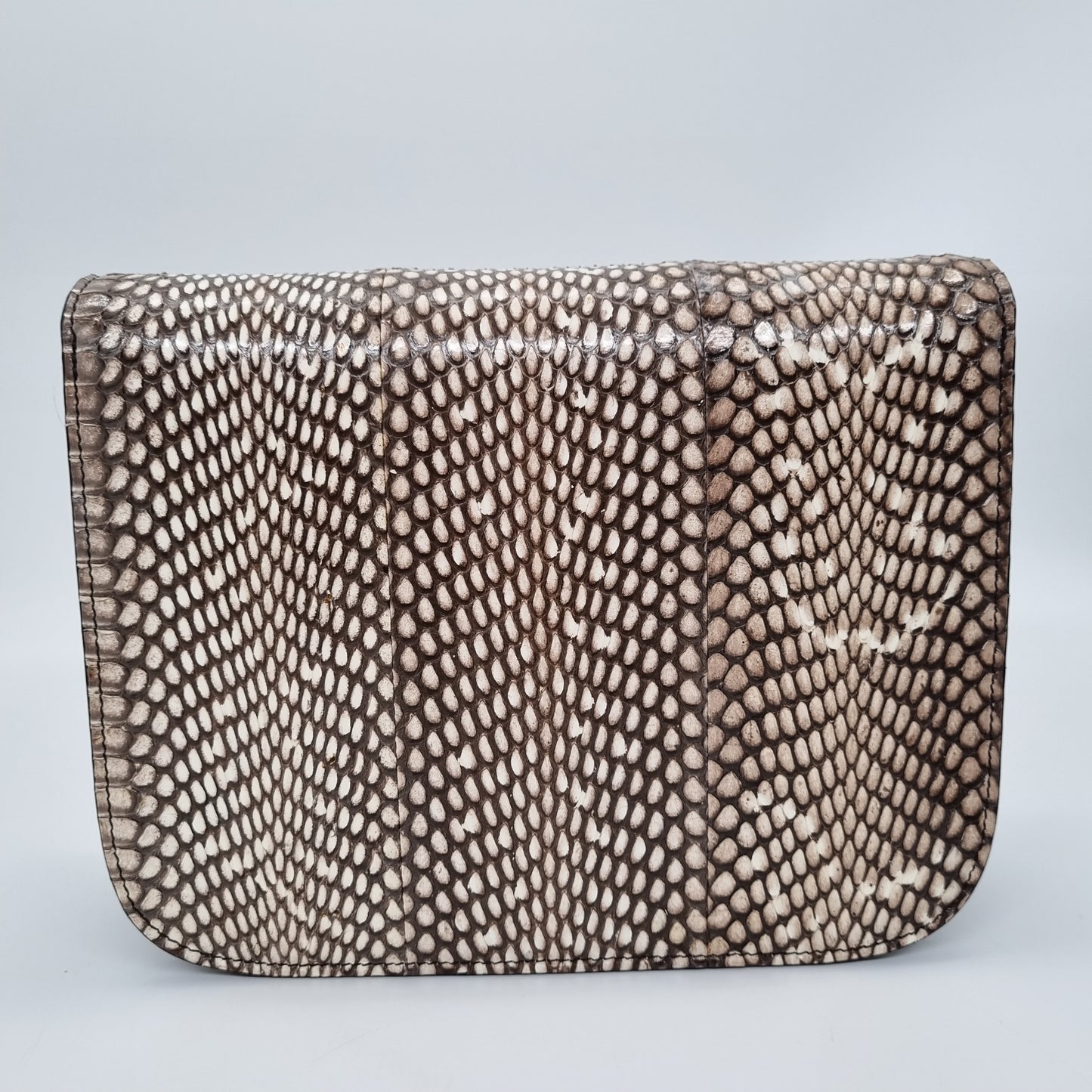 Celine Box Medium Snake Skin Natural Size 23x6x19