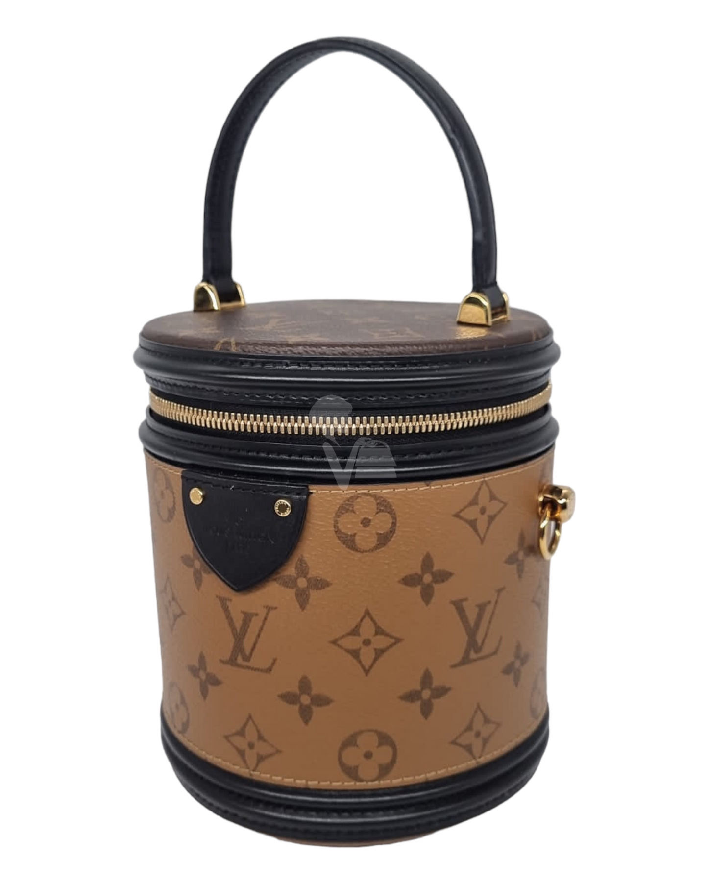 Louis Vuitton Cannes Reversible Monogram 2018 Size 15x15x17