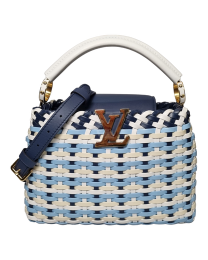 Louis Vuitton Cappucine BB Guinguette Bleu 2019