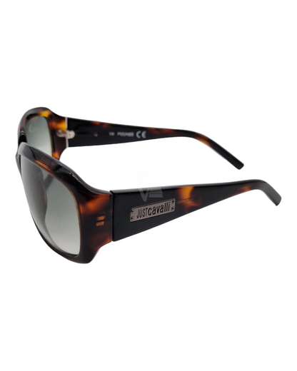 Sunglassess Frame Ombre