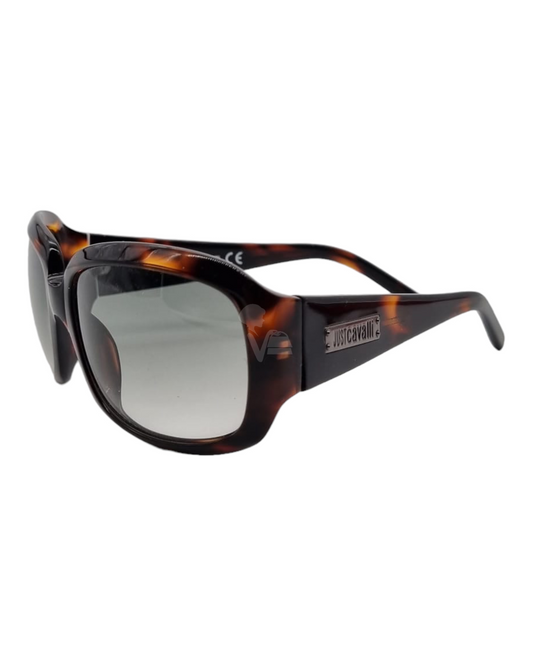 Sunglassess Frame Ombre